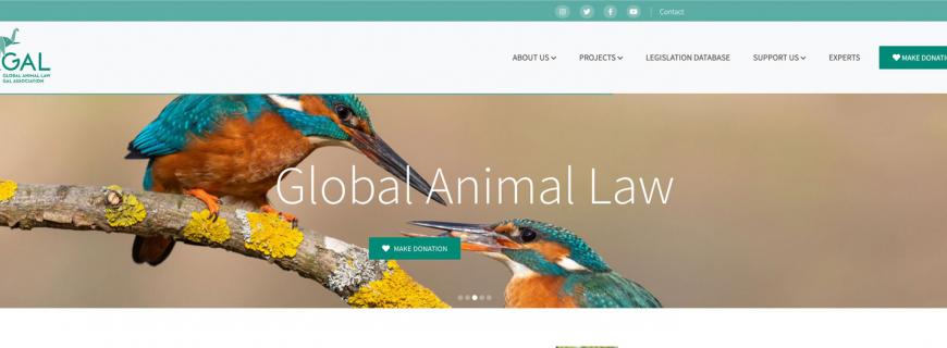 Global Animal Law – in neuem Design für Tierschutzrecht